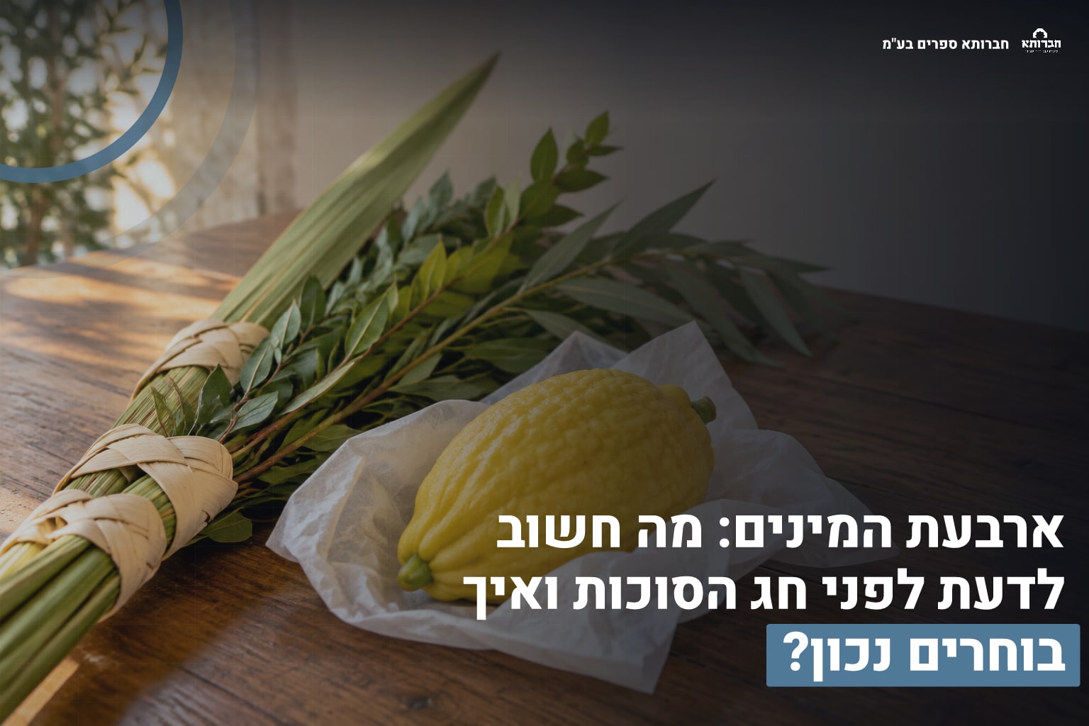 דף הבית 4 ארבעת המינים